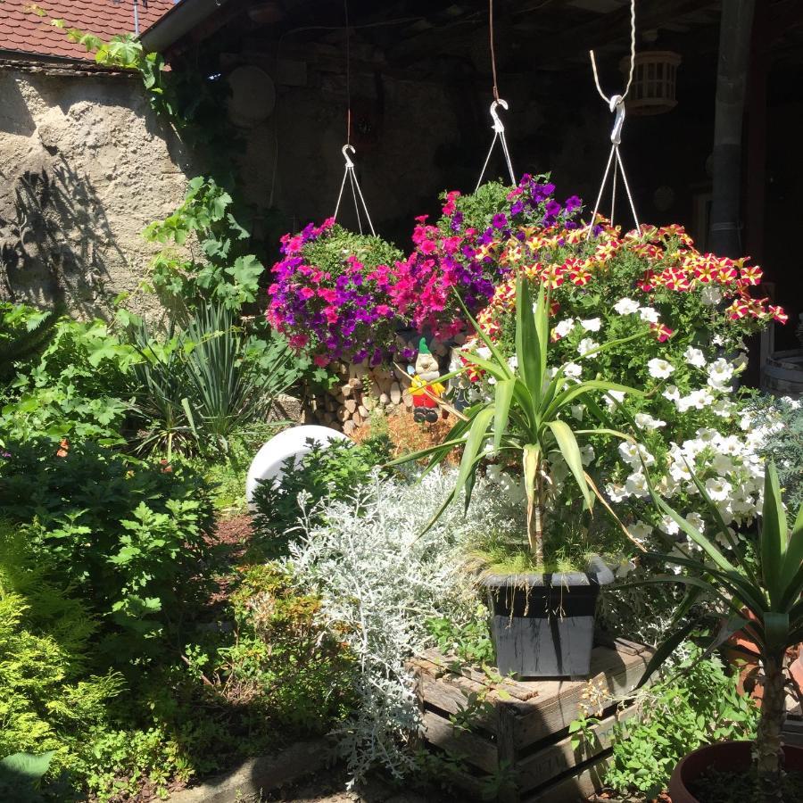 Appartamento Haus Gisela Endingen am Kaiserstuhl Esterno foto